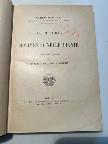 Potere movimento nelle - di,