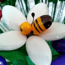 Ovidio Confetti Sulmona -