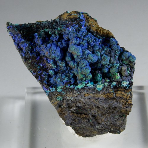 Stellar azurite chrysocolla - azurite, e