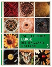 Enciclopedia Labor Del Ragazzo Italiano Volume 3 Edizioni DEI 1980
