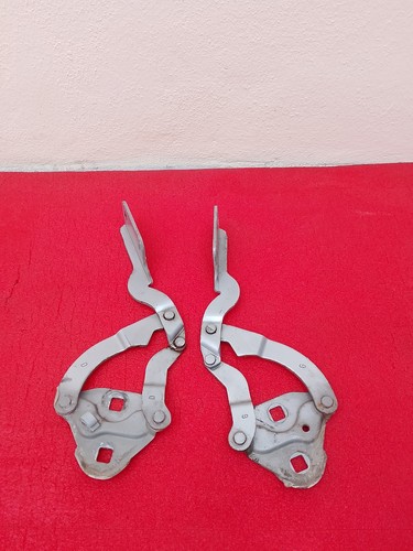 Cerniere cofano motore citroen - cerniere,