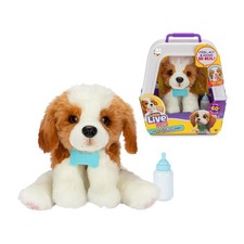 Little Live Pets - My Really