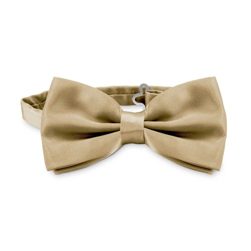Elegante papillon colore - elegante, in