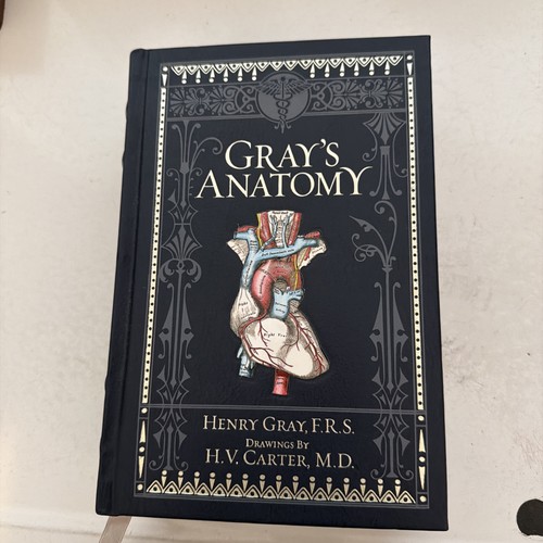 Gray anatomy henry full - anatomy,
