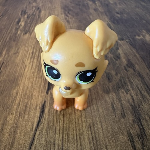 Zuru surprise pet rescue - zuru,