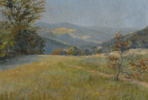 Neuwaldegg 1905 paesaggio - neuwaldegg,,