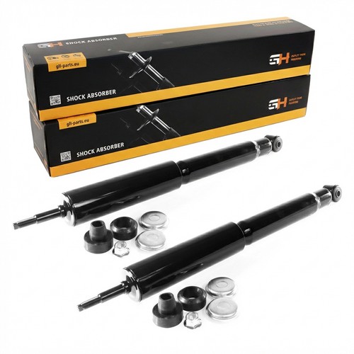 Coppia ammortizzatori gas - a,