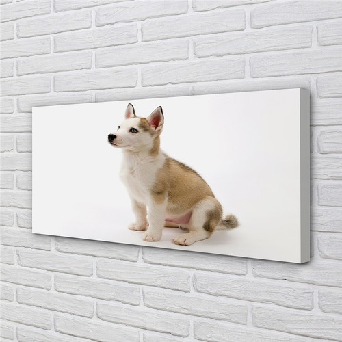 Quadro tela tulup 140x70 - su,