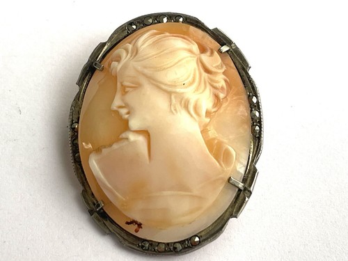Ancien broche camée coquille - broche,