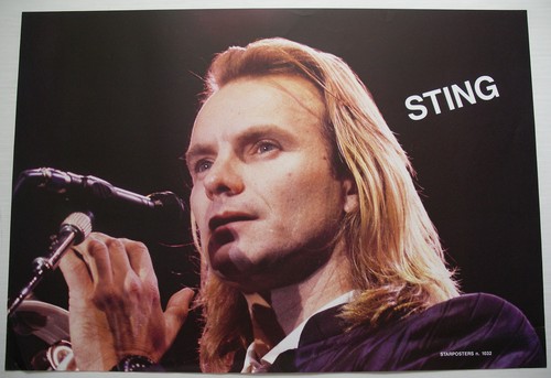 Sting singer chanteur large - chanteur,