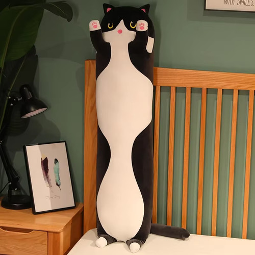 Cute and soft long - soft, cat