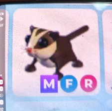 MFR Sugar Glider Adopt Me mega