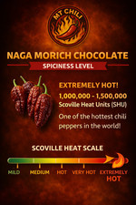 NAGA MORICH CHOCOLATE (NAGA