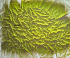 jorrit tornquist tela  95x75  ' ENORME'  ACRILICO SU TELA