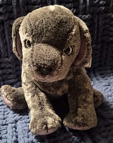 Beanie buddy frisbee - buddy.,