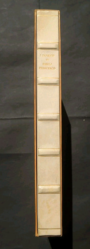 Fioretti santo francesco - i,