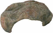 Steppe Decorazione per