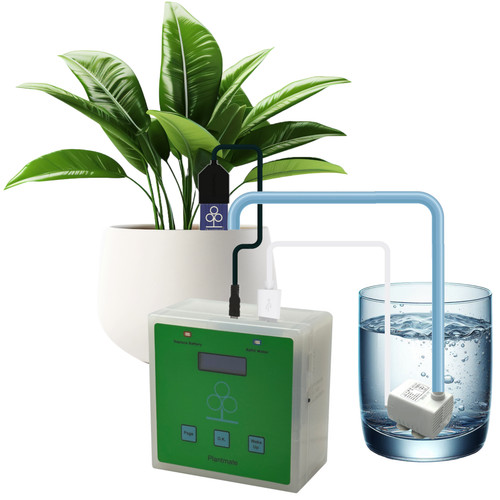 Plantmater cubo irrigazione - plantmater,