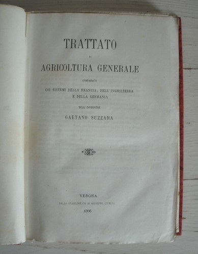 Gaetano suzzara trattato - gaetano,
