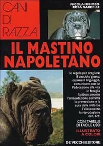 Cani razza il - cani, mastino