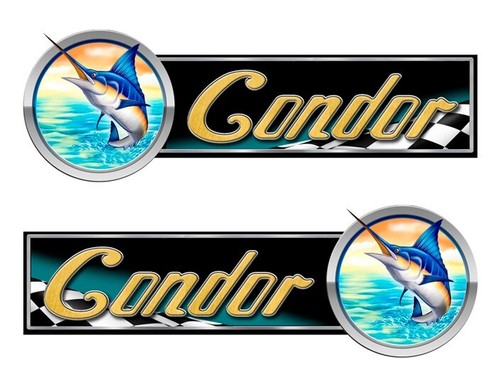 Adesivi tipo corsa condor - 2,