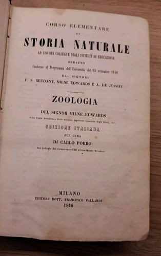 Corso elementare storia - corso,