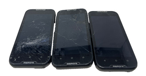 Datalogic memor palmare - 3x,