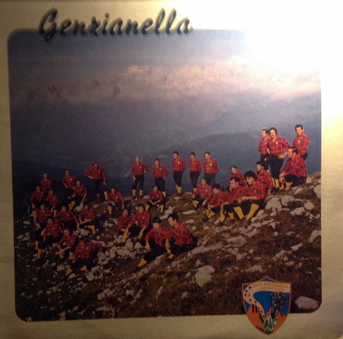 Disco giri coro genzianella - disco,