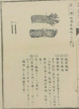 ANATOMIA UMANA MUSCOLI