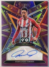 Fernando Torres Purple Auto