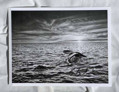 Sebastiao salgado originale - sebastiao,