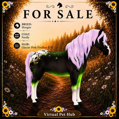 Wild horse islands morgan - horse,