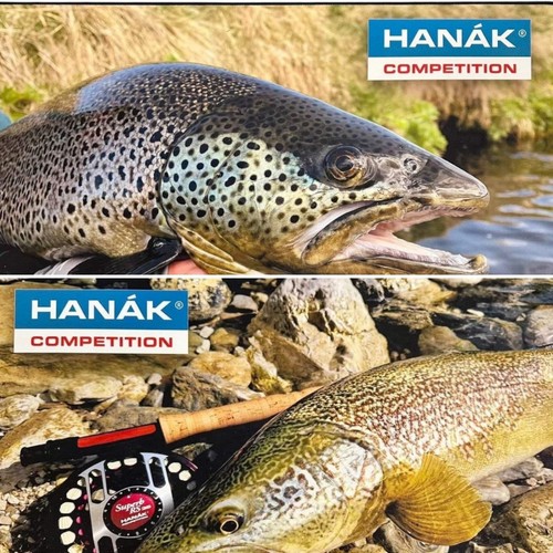 Tappetini hanak wader - tappetini,