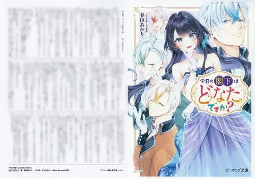 Anime chi vostra - anime, È