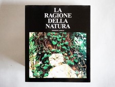 LUIGI GHIRRI - La ragione