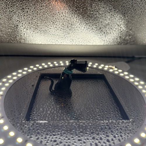 Statuina cristallo swarovski - cristallo,