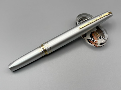 Penna stilografica platino