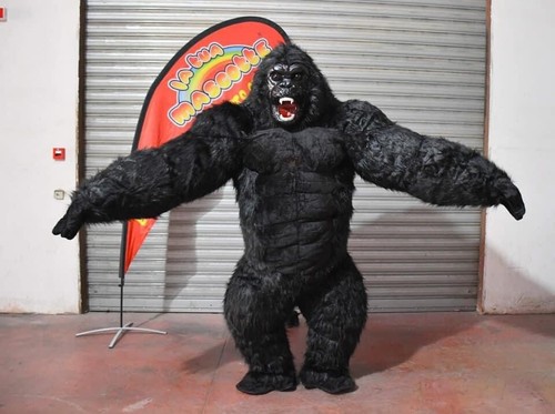 Mascotte gonfiabile - mascotte,