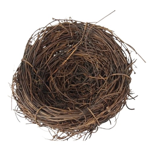 Nido per uccelli pollici - per,