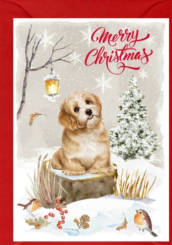 Biglietto natale lhasa apso - biglietto,