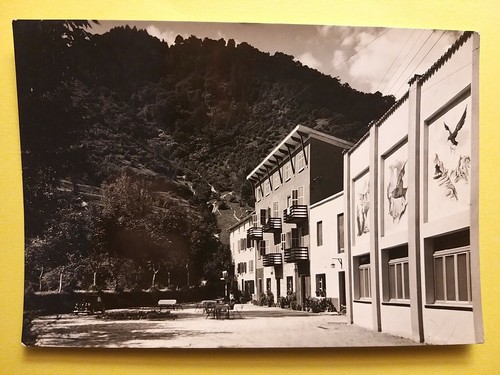 Alano piave - alano, di