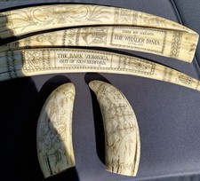 Replica denti di tricheco e