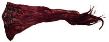 Extension Capelli Borgogna