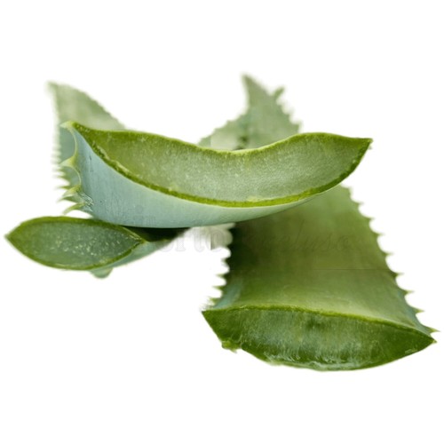 Foglie fresche intere - , di