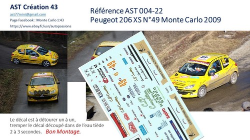 Decal peugeot 206 - 43, xs