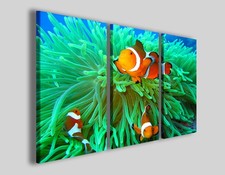 Quadro pesci The beautiful fish I stampa moderna acquario