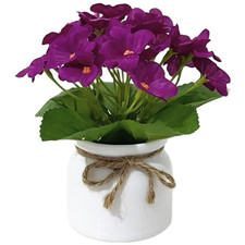 Bonsai Artificiale Pianta di
