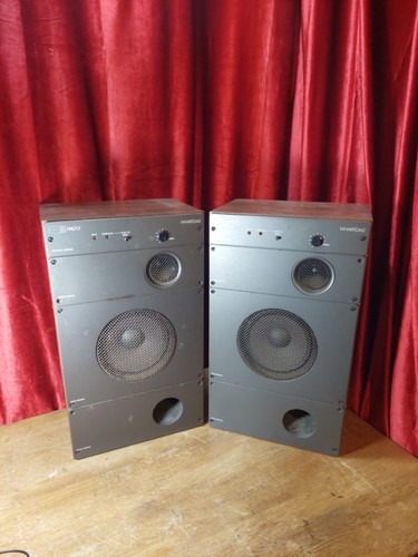 Coppia altoparlanti vintage - coppia, di