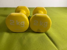 LOTTO PALESTRA - MANUBRI