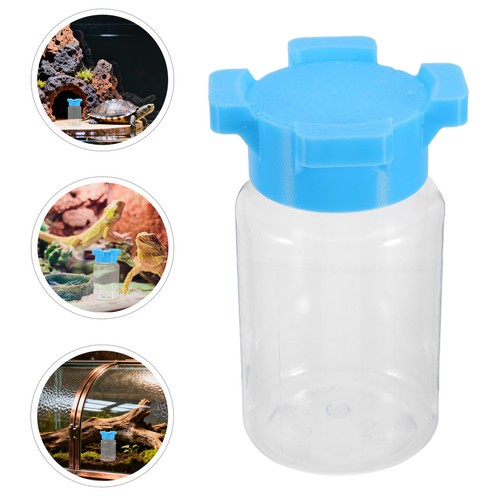 Mangiatoia acqua formica ragno